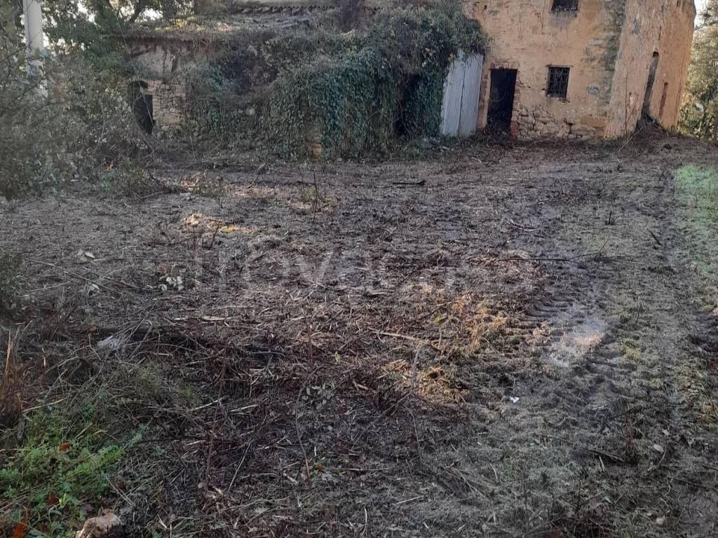 immagine annuncio 1 di 6