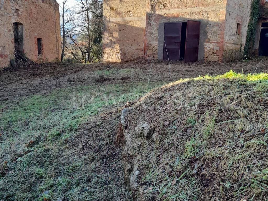 immagine annuncio 2 di 6