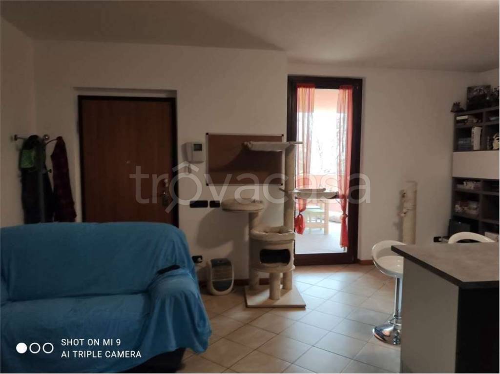 immagine annuncio 8 di 12