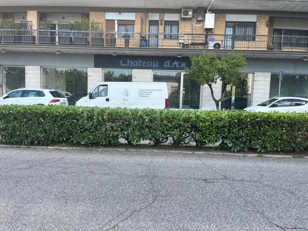 immagine annuncio 6 di 14