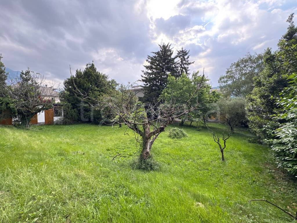 immagine annuncio 3 di 4