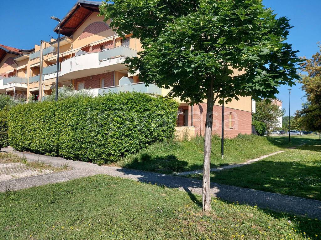 immagine annuncio 1 di 15