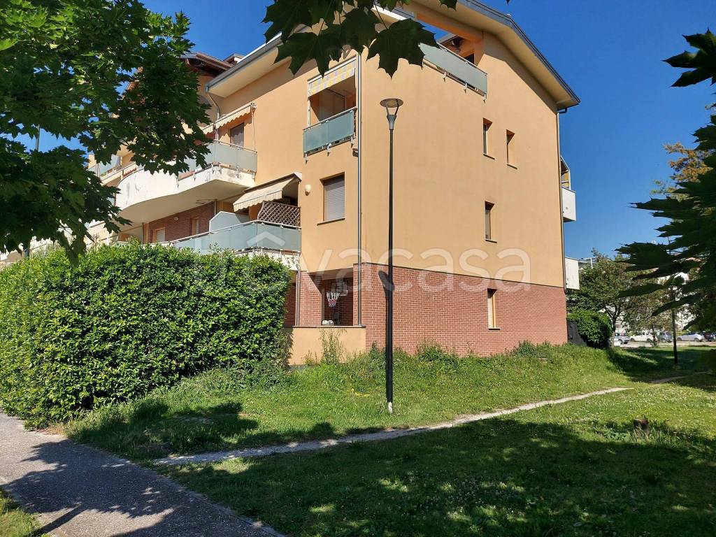 immagine annuncio 2 di 15