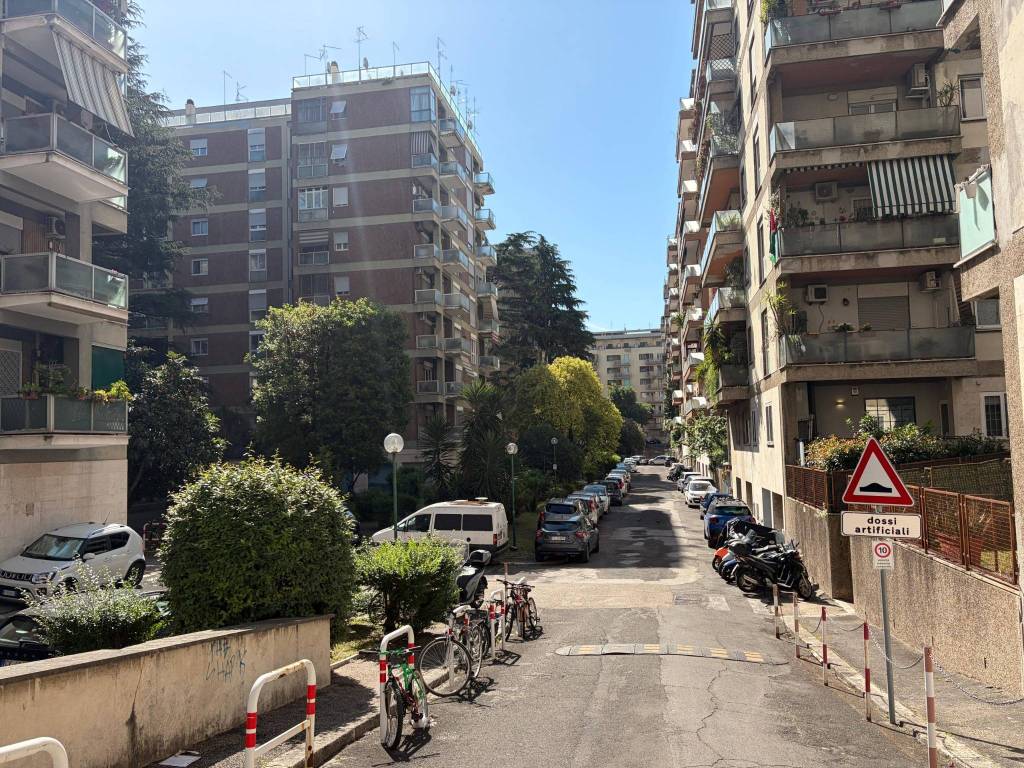 immagine annuncio 9 di 14