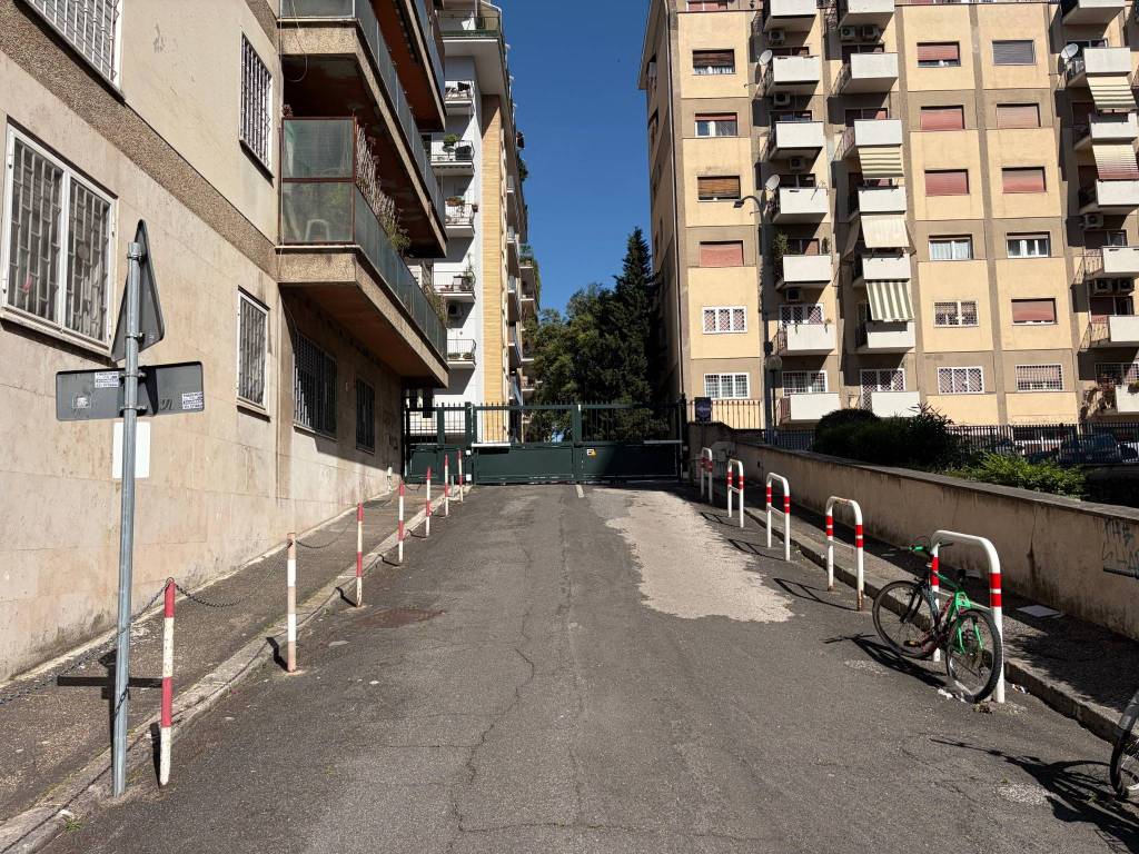 immagine annuncio 11 di 14