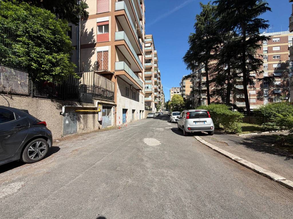 immagine annuncio 12 di 14