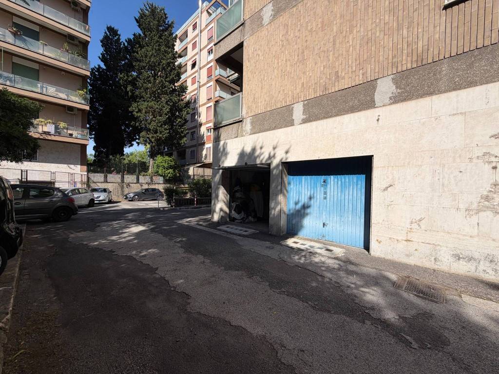 immagine annuncio 4 di 14
