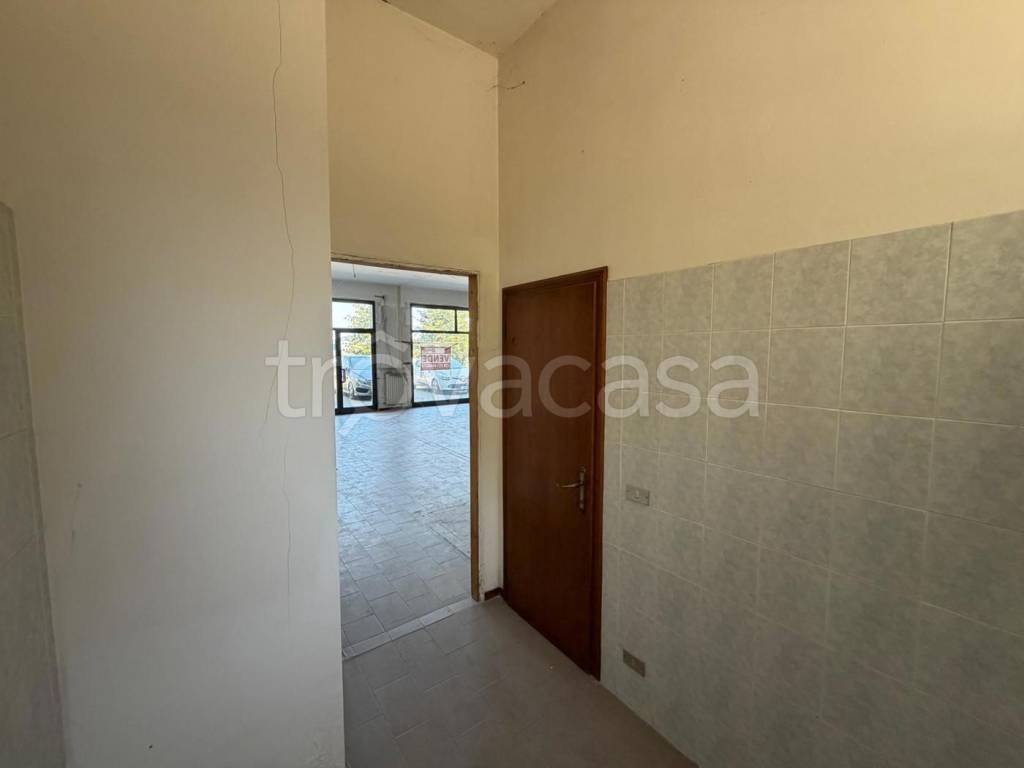immagine annuncio 9 di 13