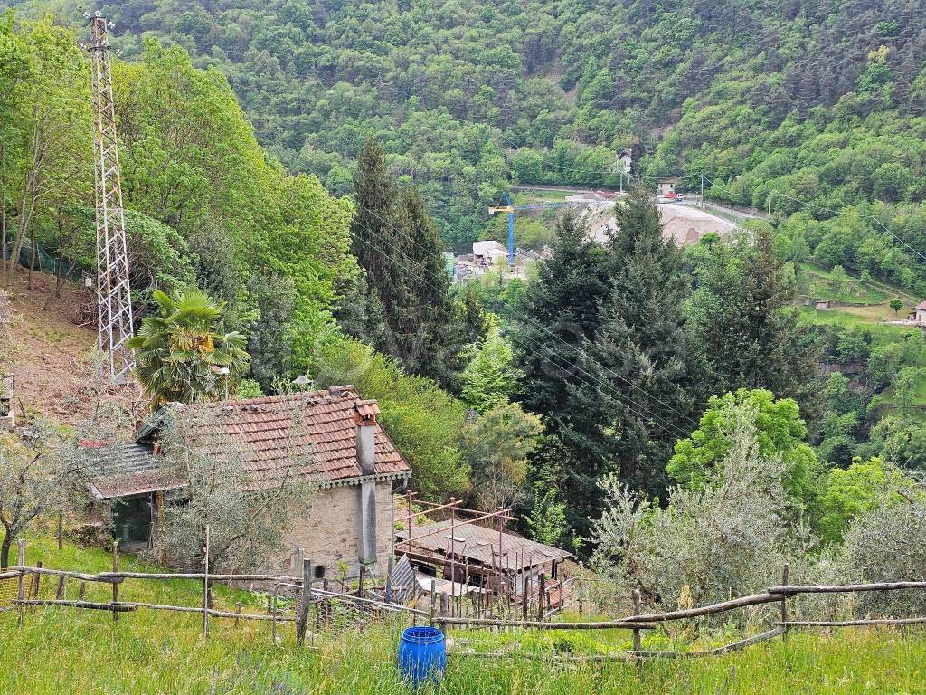 immagine annuncio 12 di 13