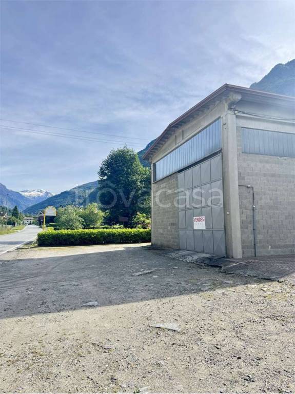 immagine annuncio 8 di 10