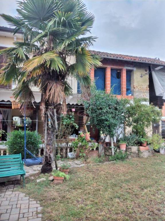 immagine annuncio 3 di 15