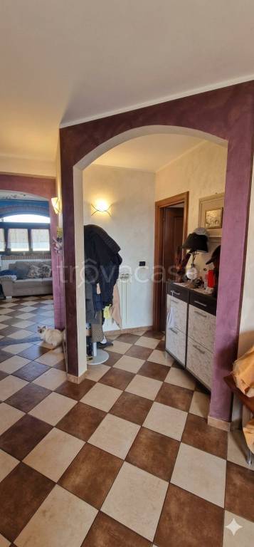 immagine annuncio 6 di 14