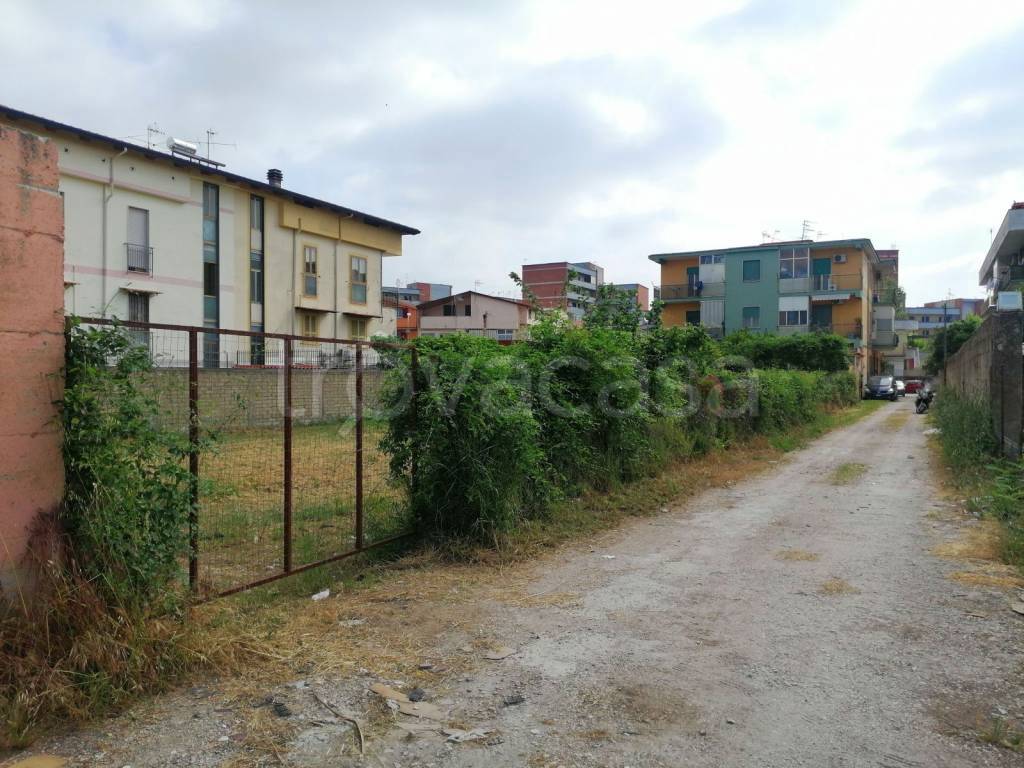 immagine annuncio 2 di 7