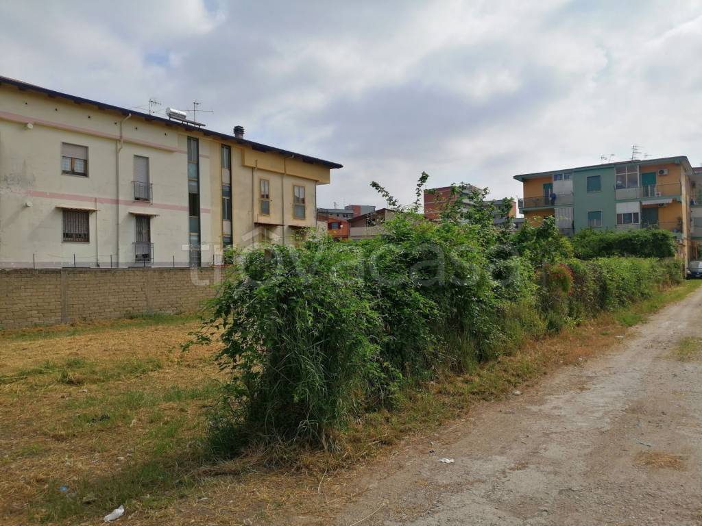 immagine annuncio 3 di 7