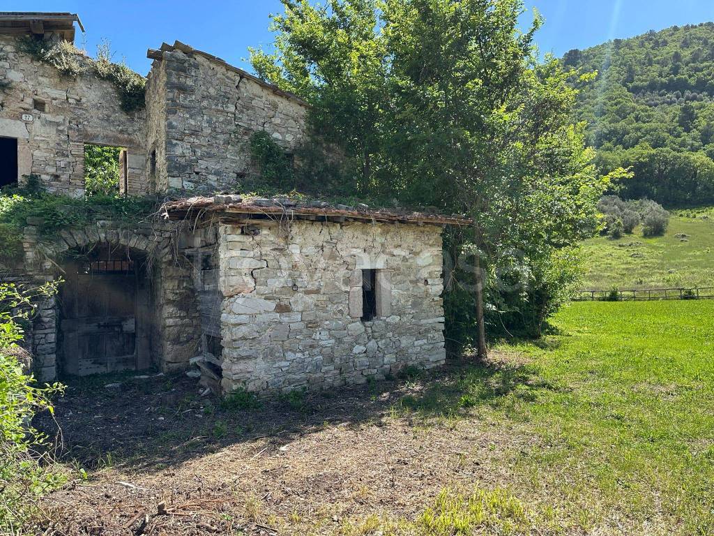 immagine annuncio 2 di 11