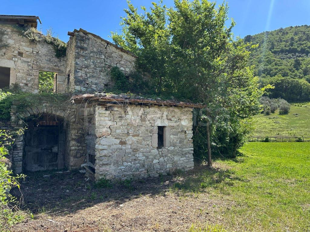 immagine annuncio 7 di 11