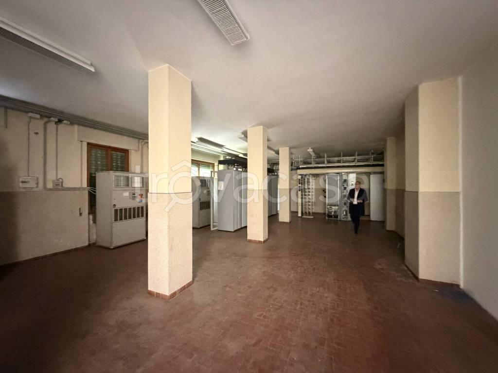 immagine annuncio 9 di 13