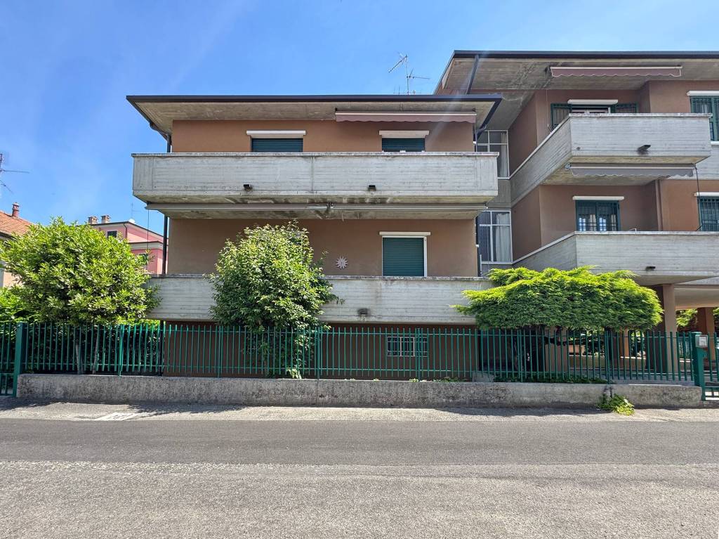 immagine annuncio 1 di 15