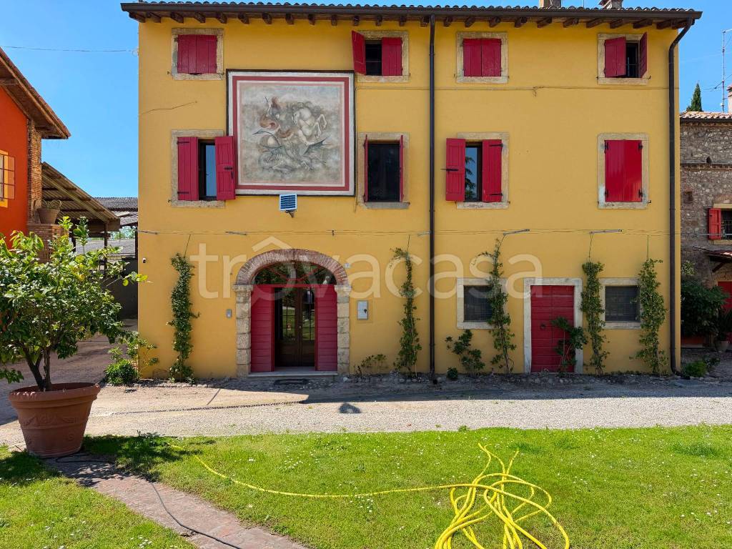 immagine annuncio 1 di 15