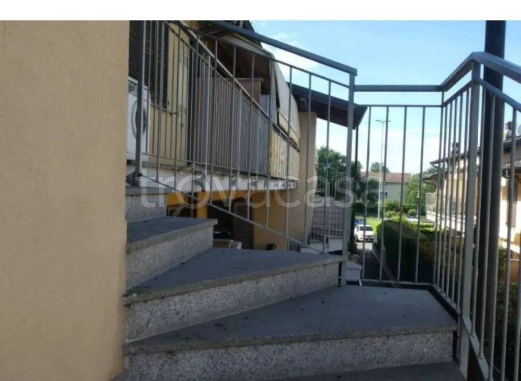 immagine annuncio 10 di 15