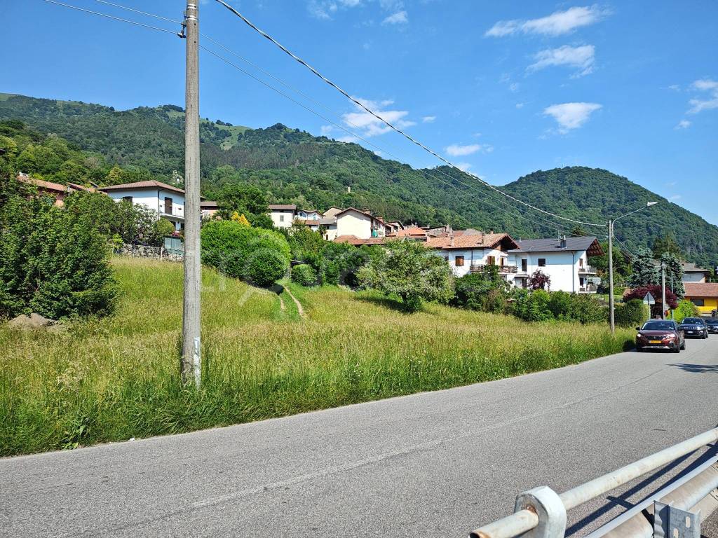 immagine annuncio 4 di 12