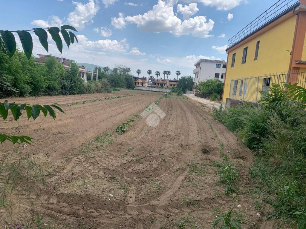 immagine annuncio 8 di 10