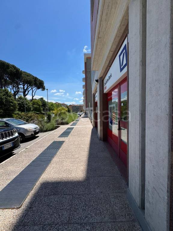 immagine annuncio 13 di 14