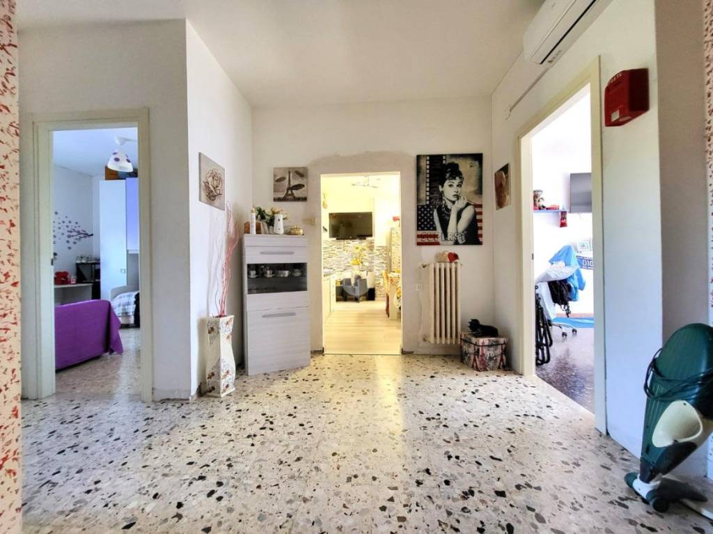 immagine annuncio 5 di 14