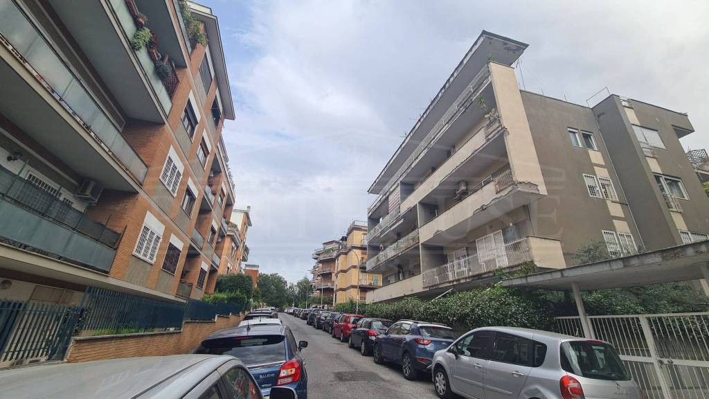 immagine annuncio 12 di 13