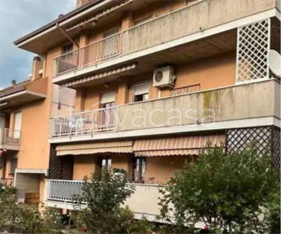 immagine annuncio 2 di 13