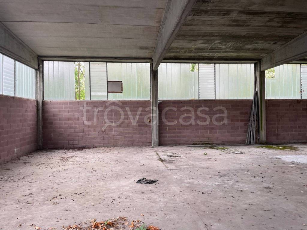 immagine annuncio 2 di 3