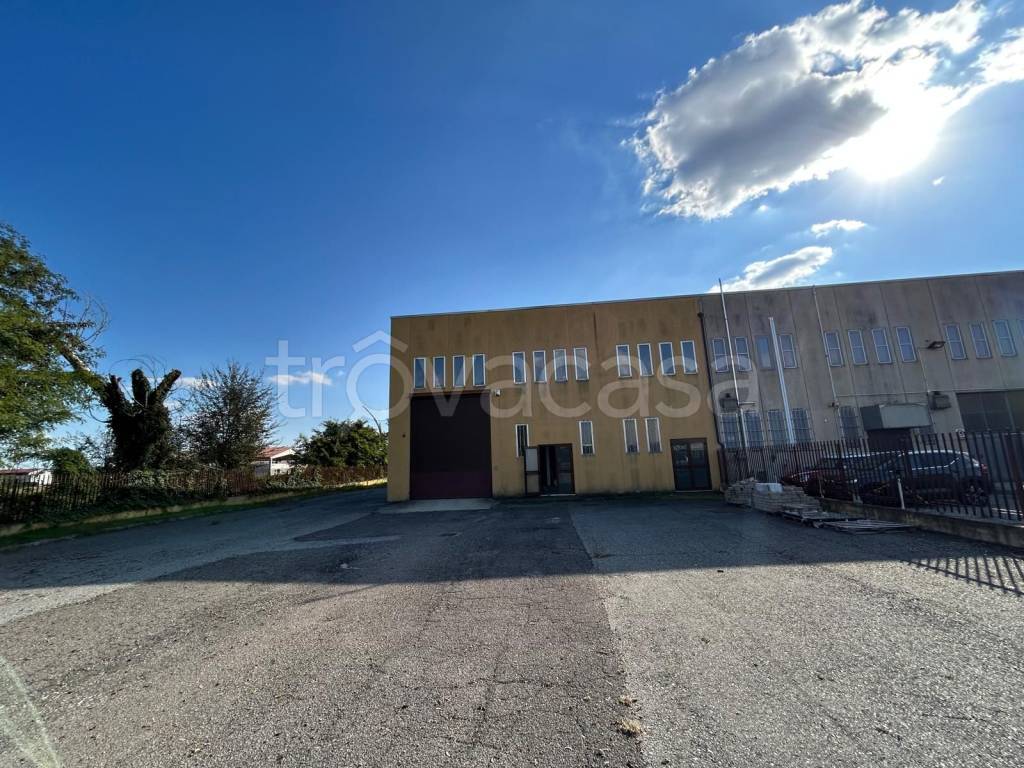 immagine annuncio 14 di 15