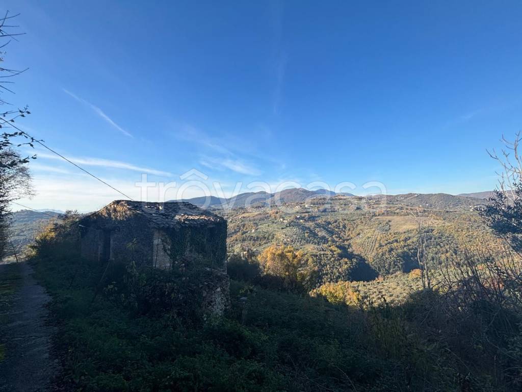 immagine annuncio 2 di 6
