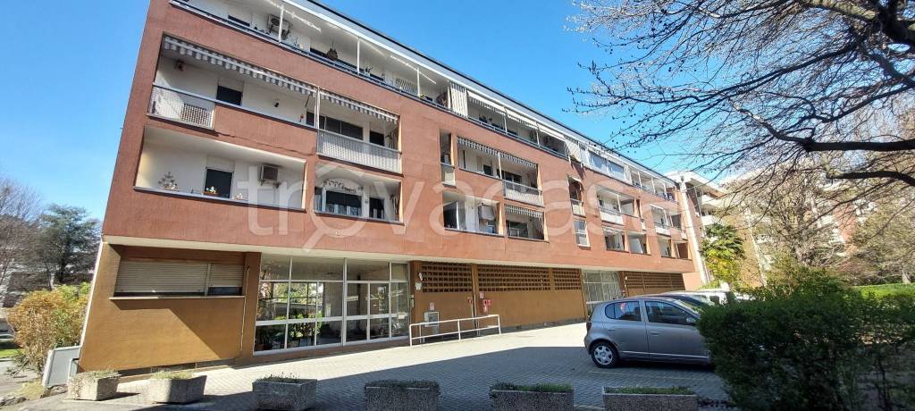 immagine annuncio 12 di 15