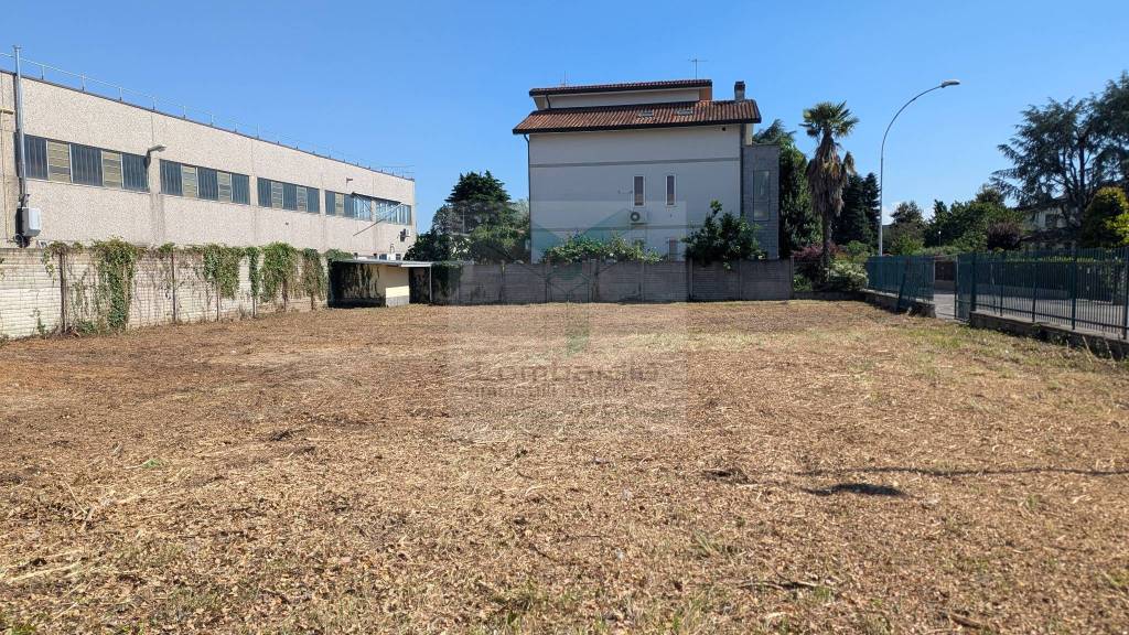 immagine annuncio 11 di 15