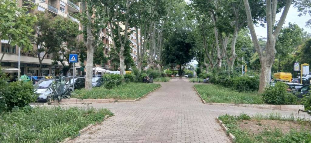 immagine annuncio 4 di 6