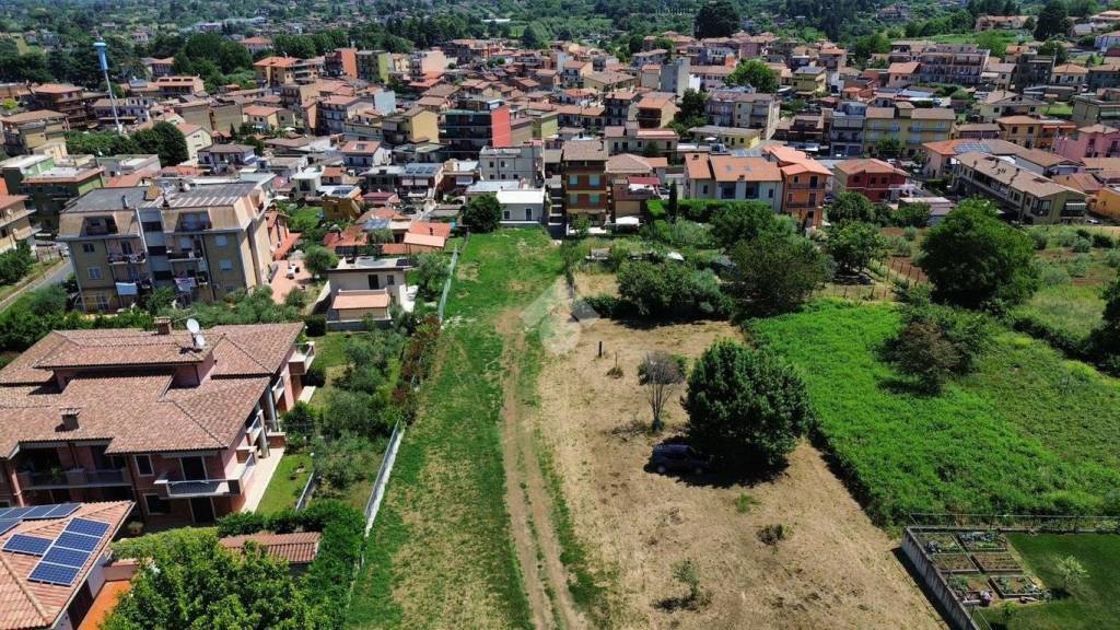 immagine annuncio 9 di 14
