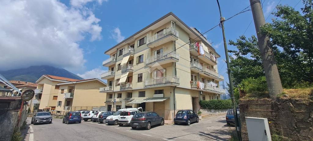 immagine annuncio 6 di 8