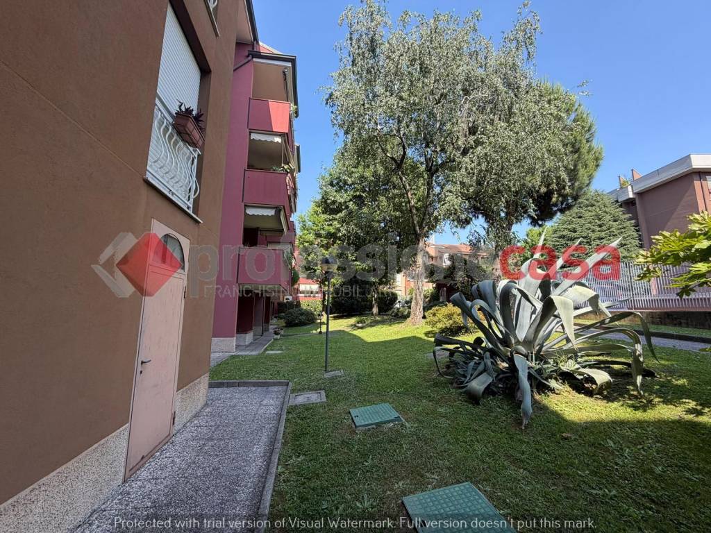 immagine annuncio 5 di 7