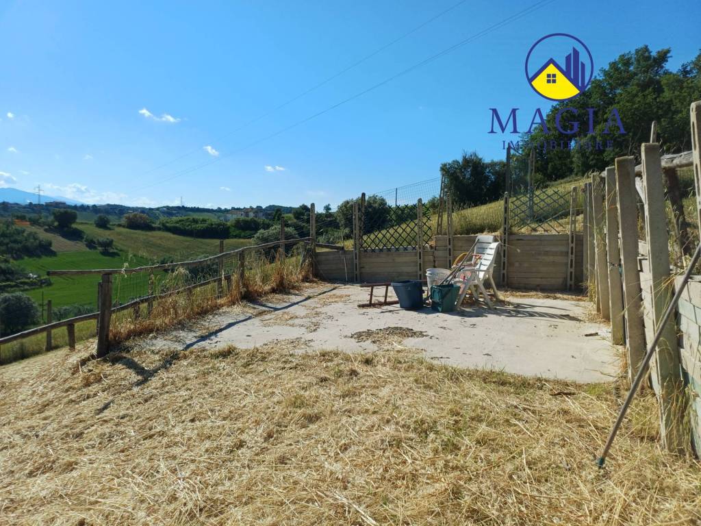 immagine annuncio 2 di 11