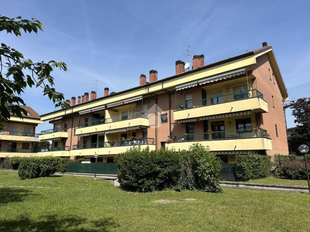 immagine annuncio 9 di 15
