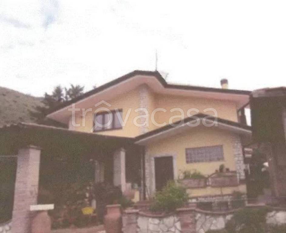 immagine annuncio 12 di 13