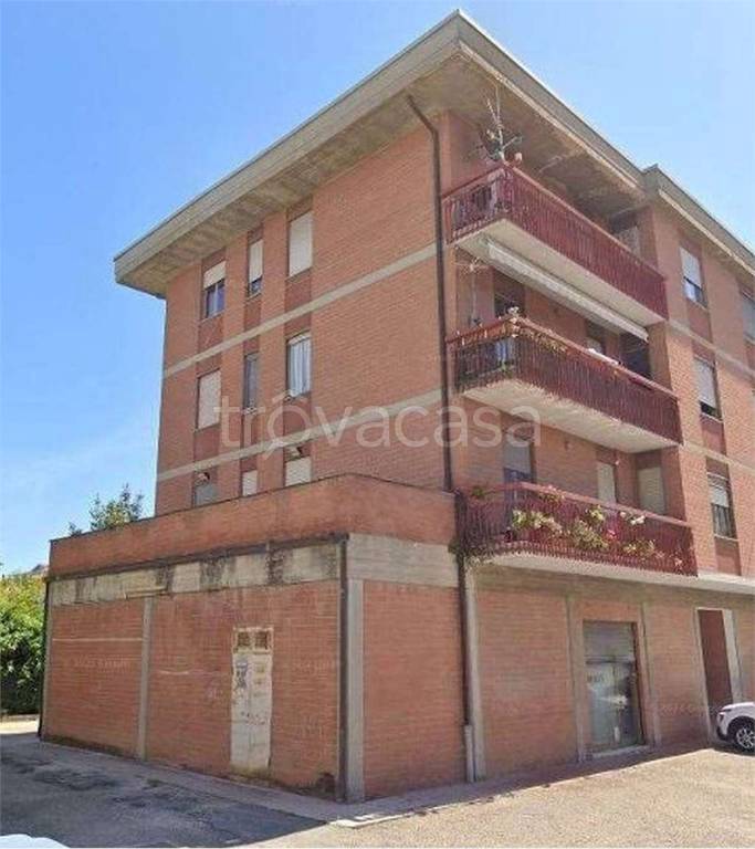 immagine annuncio 2 di 12