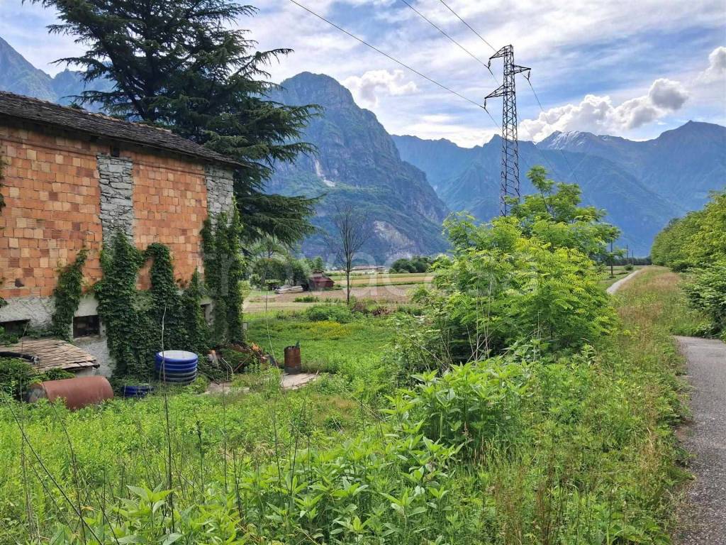 immagine annuncio 7 di 15