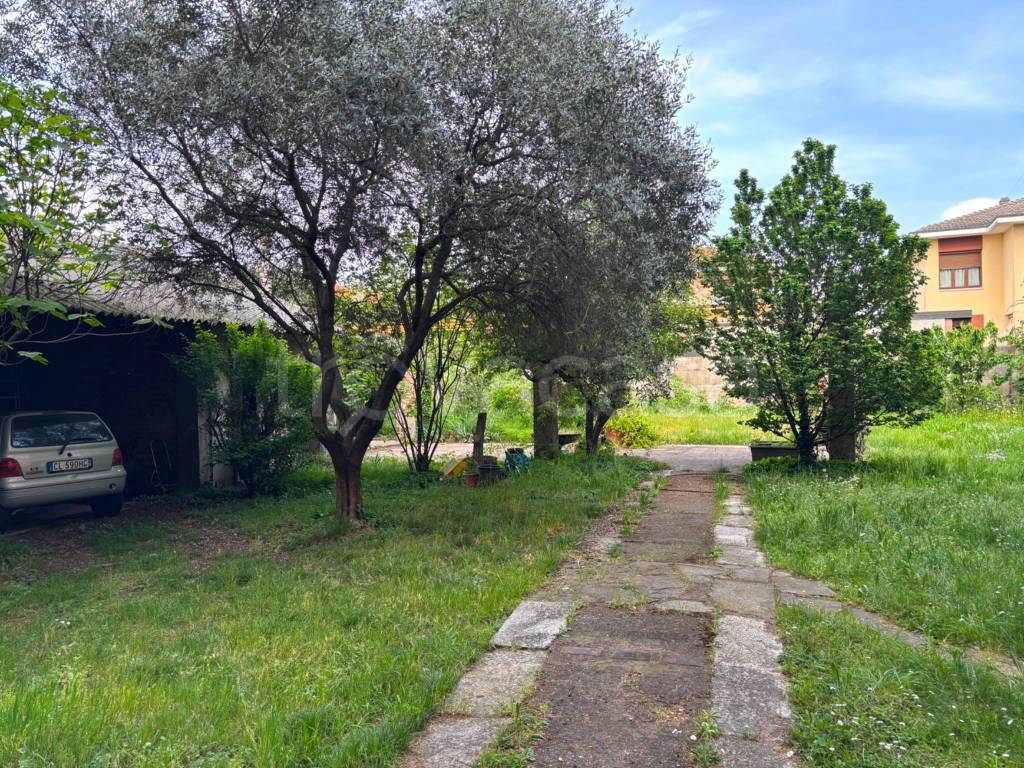 immagine annuncio 4 di 15