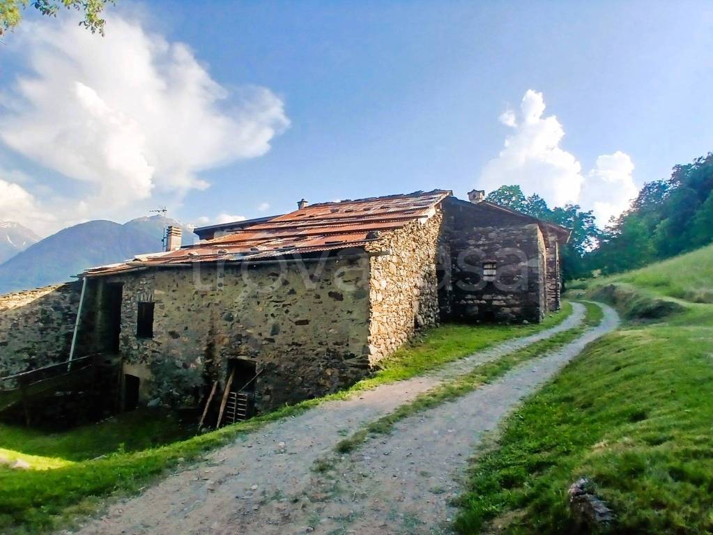 immagine annuncio 2 di 3