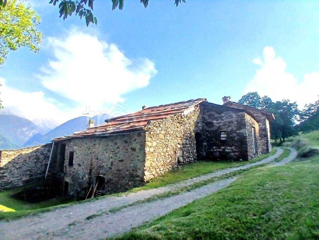 immagine annuncio 1 di 3