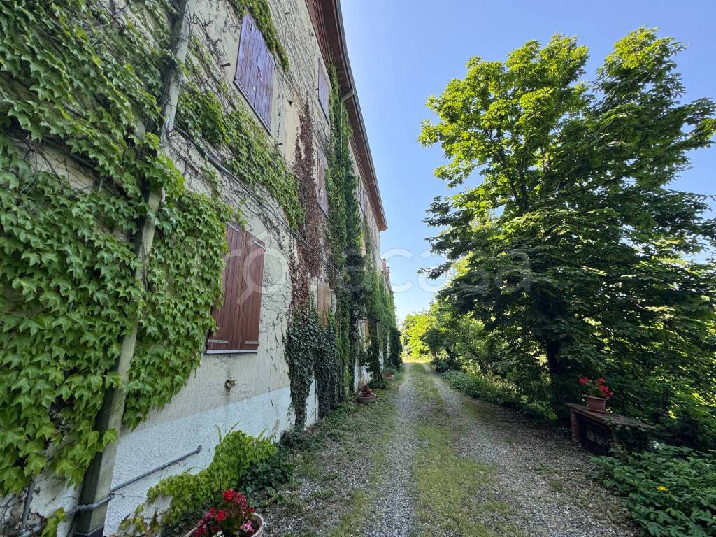 immagine annuncio 10 di 15