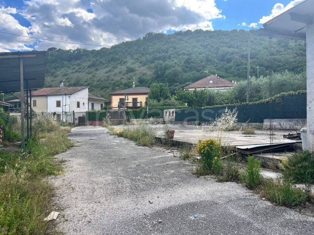 immagine annuncio 5 di 13