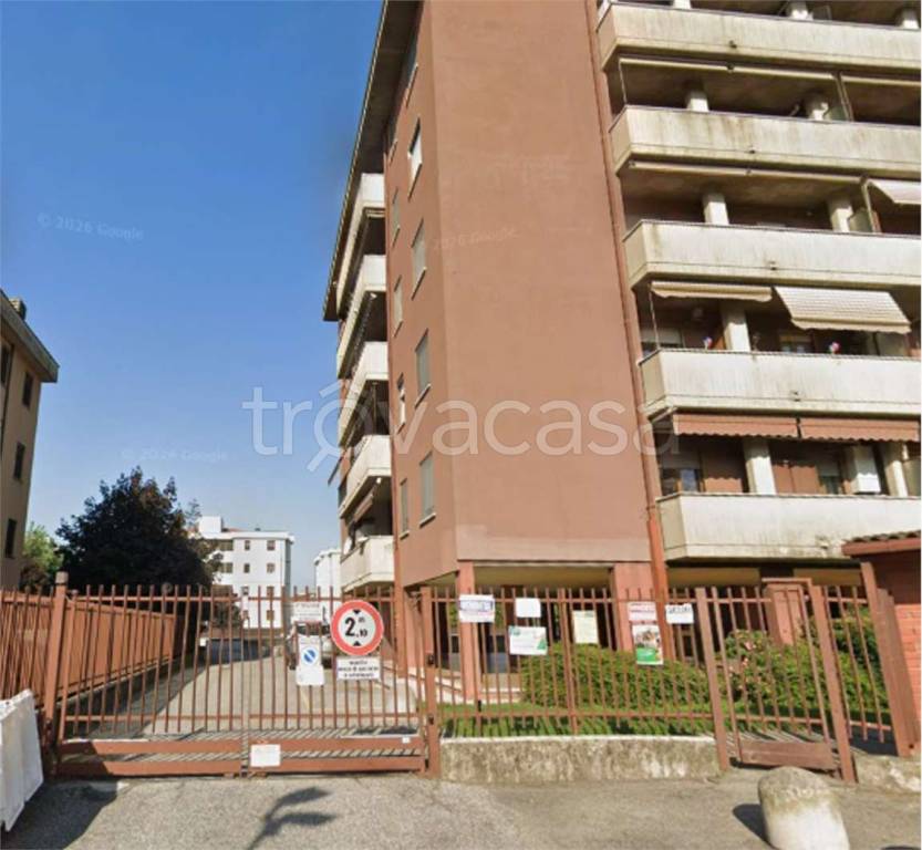 immagine annuncio 11 di 14